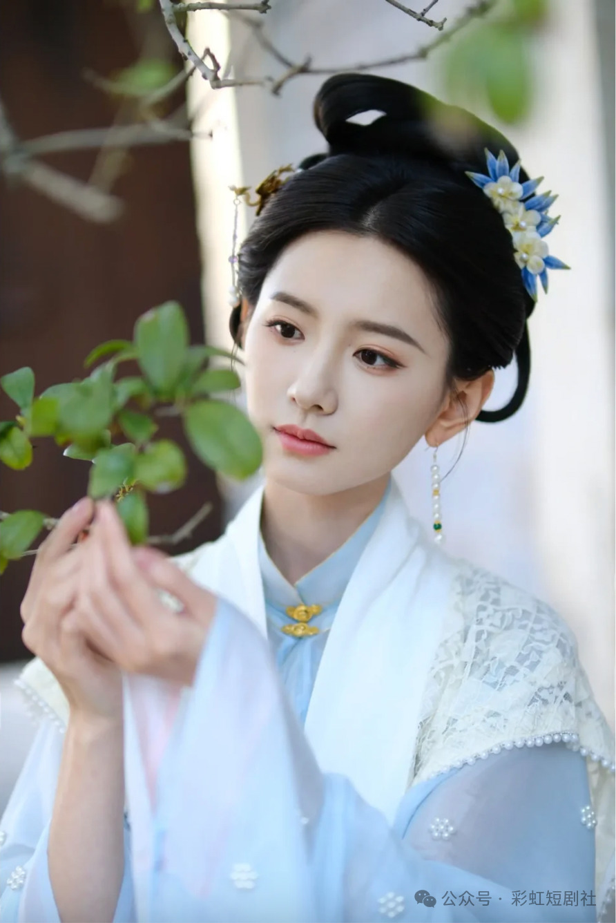 张婉莹.png