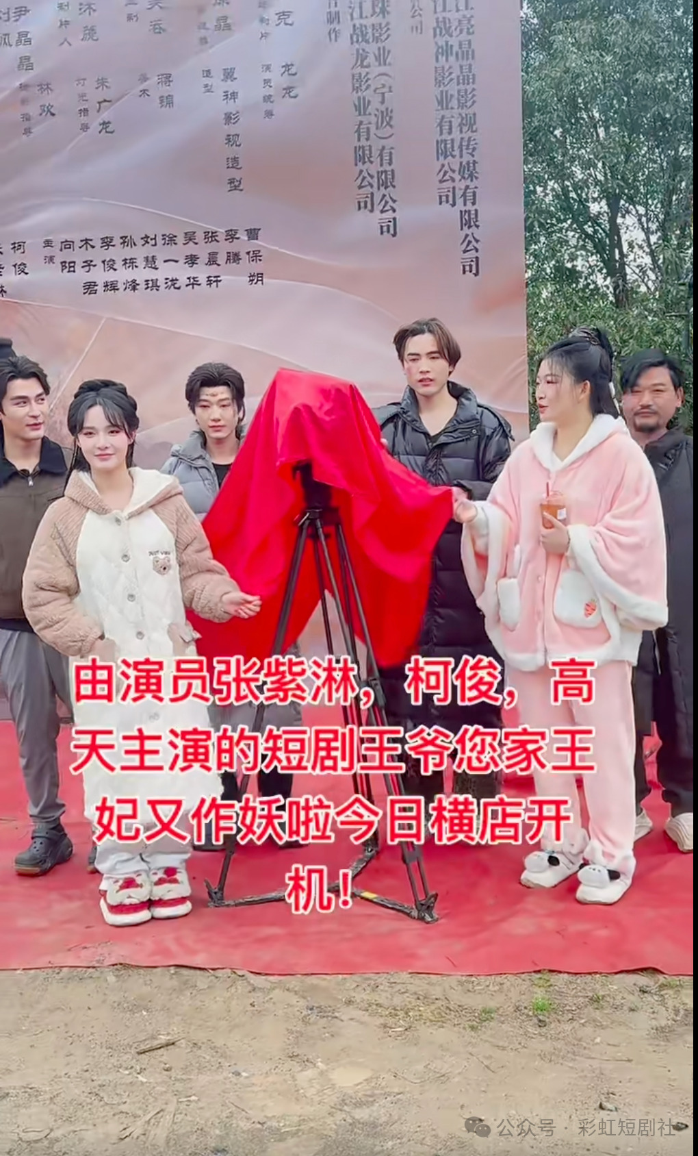 王妃作妖.png